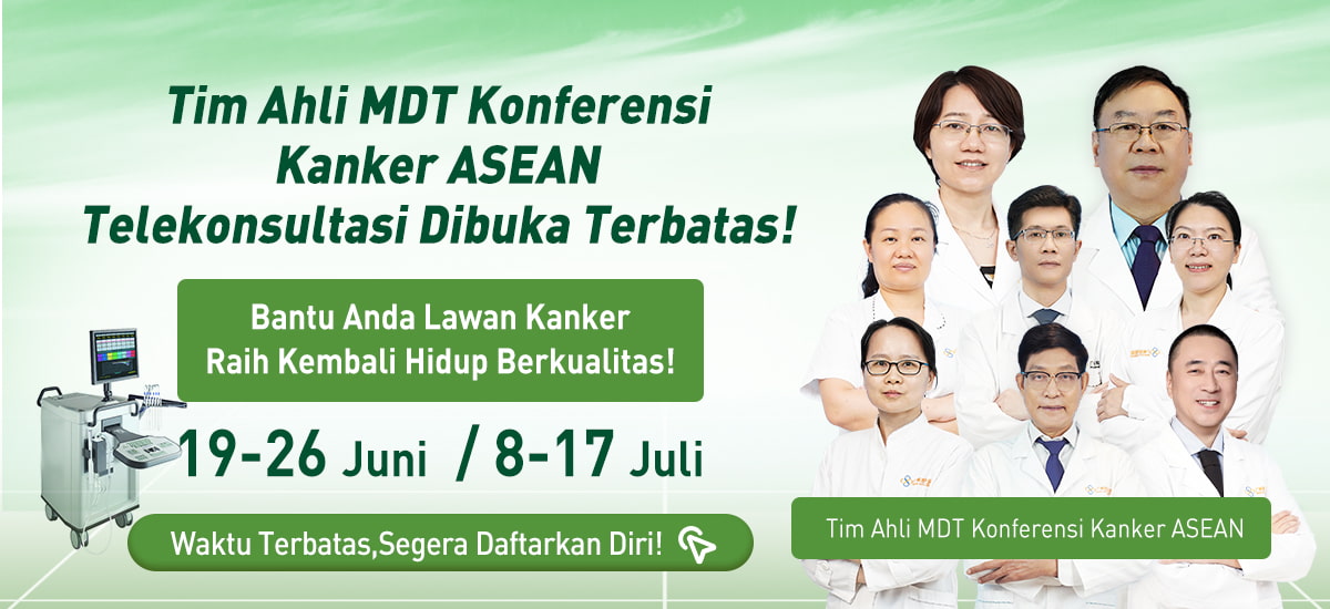 Zona Reservasi Konsultasi Tatap Muka dengan Pakar ASEAN