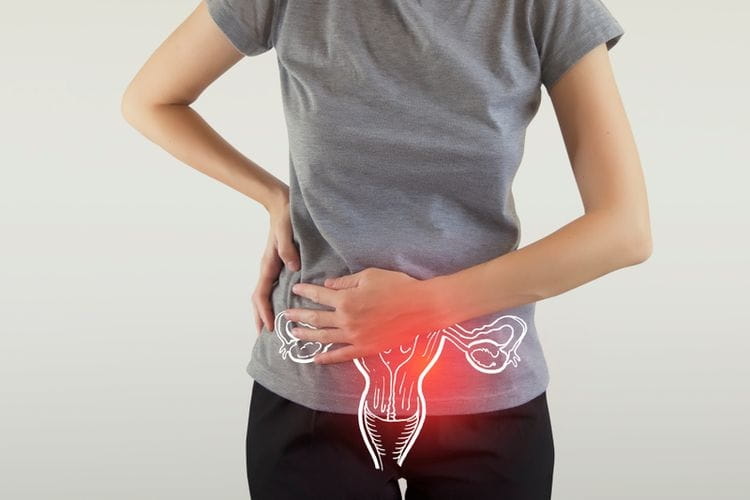endometrium ikcon